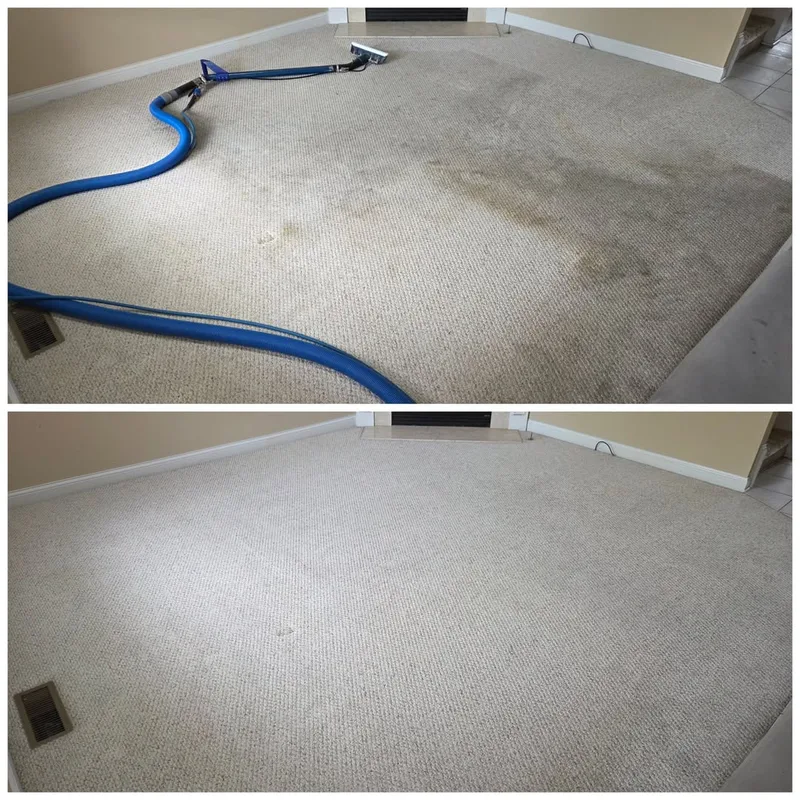 Living room carpet before and after hot water extraction cleaning