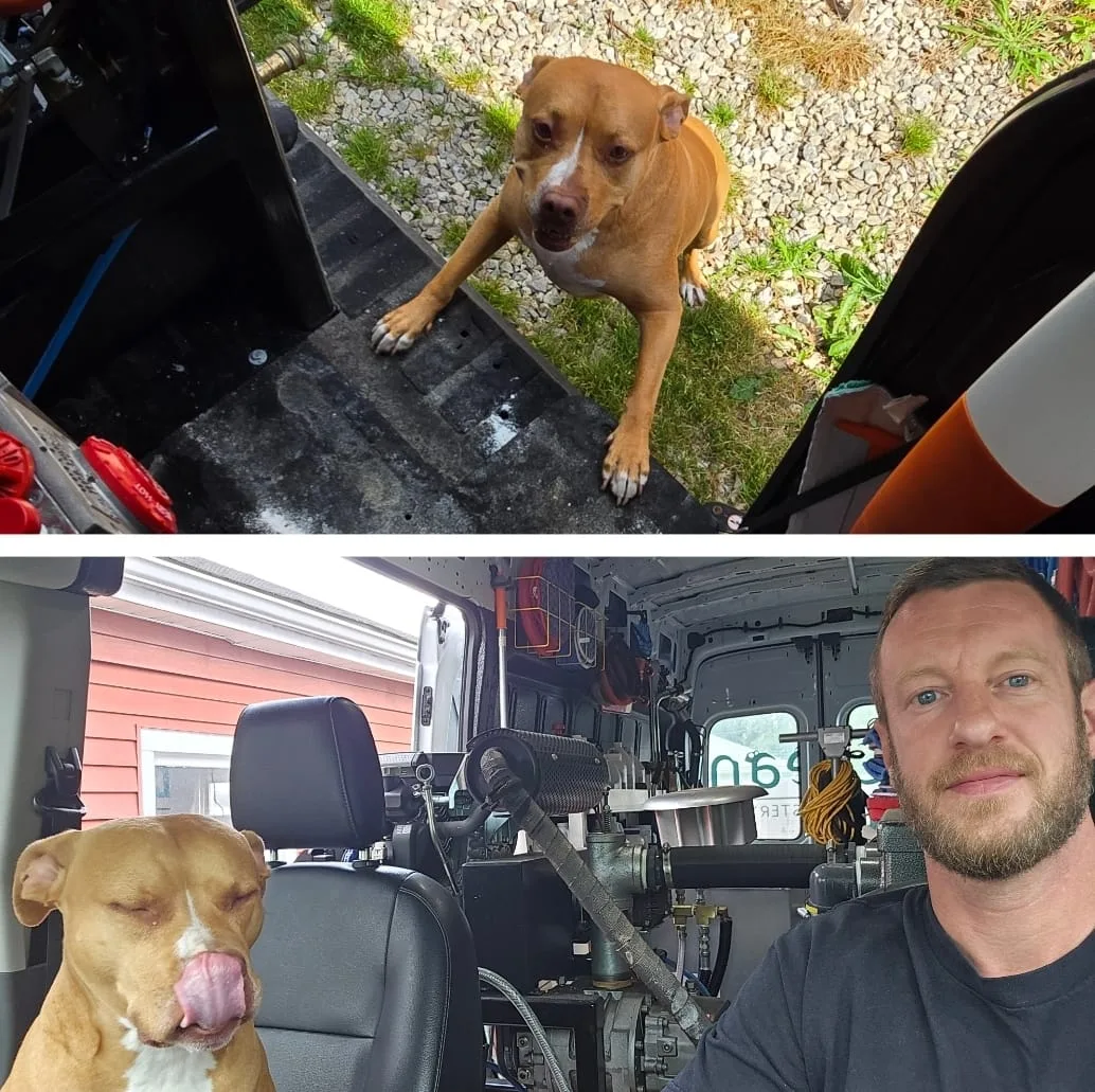 Bryan Wilson with his dog — B Clean Carpet & Upholstery, Westerville OH