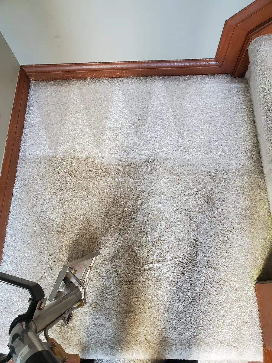 Staircase carpet mid-extraction — dirty side vs clean side visible
