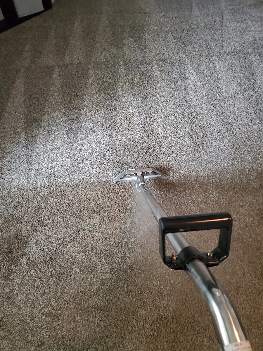 Finished bedroom carpet after hot water extraction — clean and pile restored
