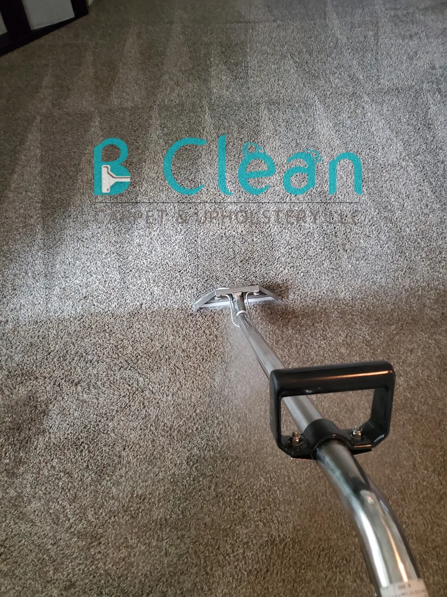 B Clean wand cleaning dark carpet — cleaning stripes visible